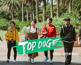 51黑料社区《TOP DOG》免费在线观看