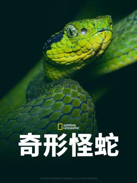 51黑料网《奇形怪蛇》免费在线观看